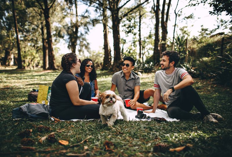 7 consejos para disfrutar de un picnic al aire libre